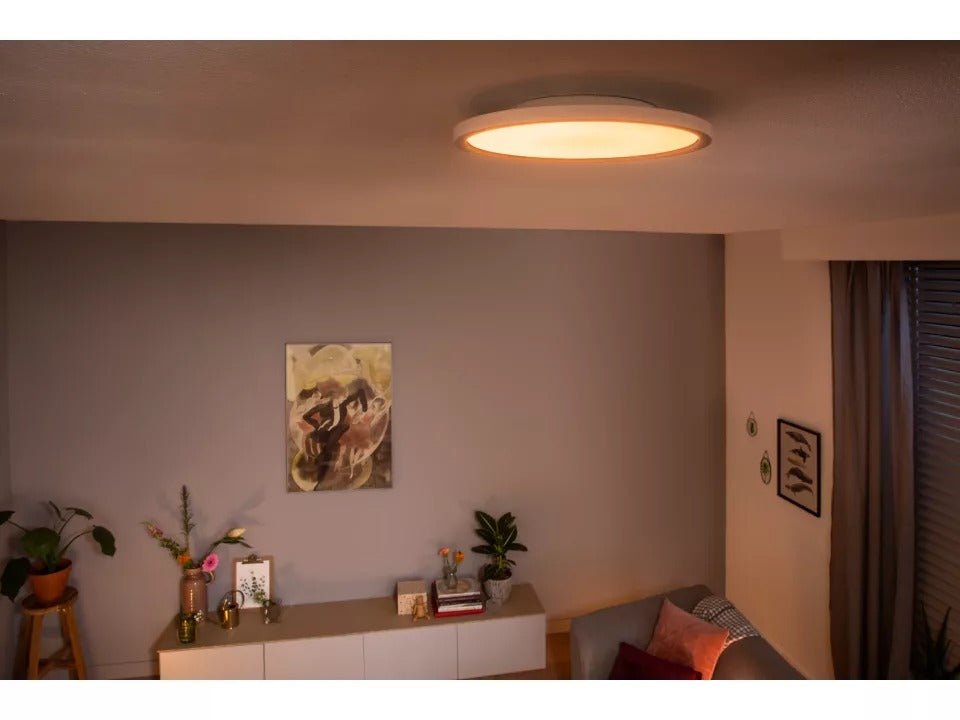 Philips Hue Aurelle Hue Panel Rd 21W Ceiling Lamp - Ceiling Light - Philips Hue - Zenox