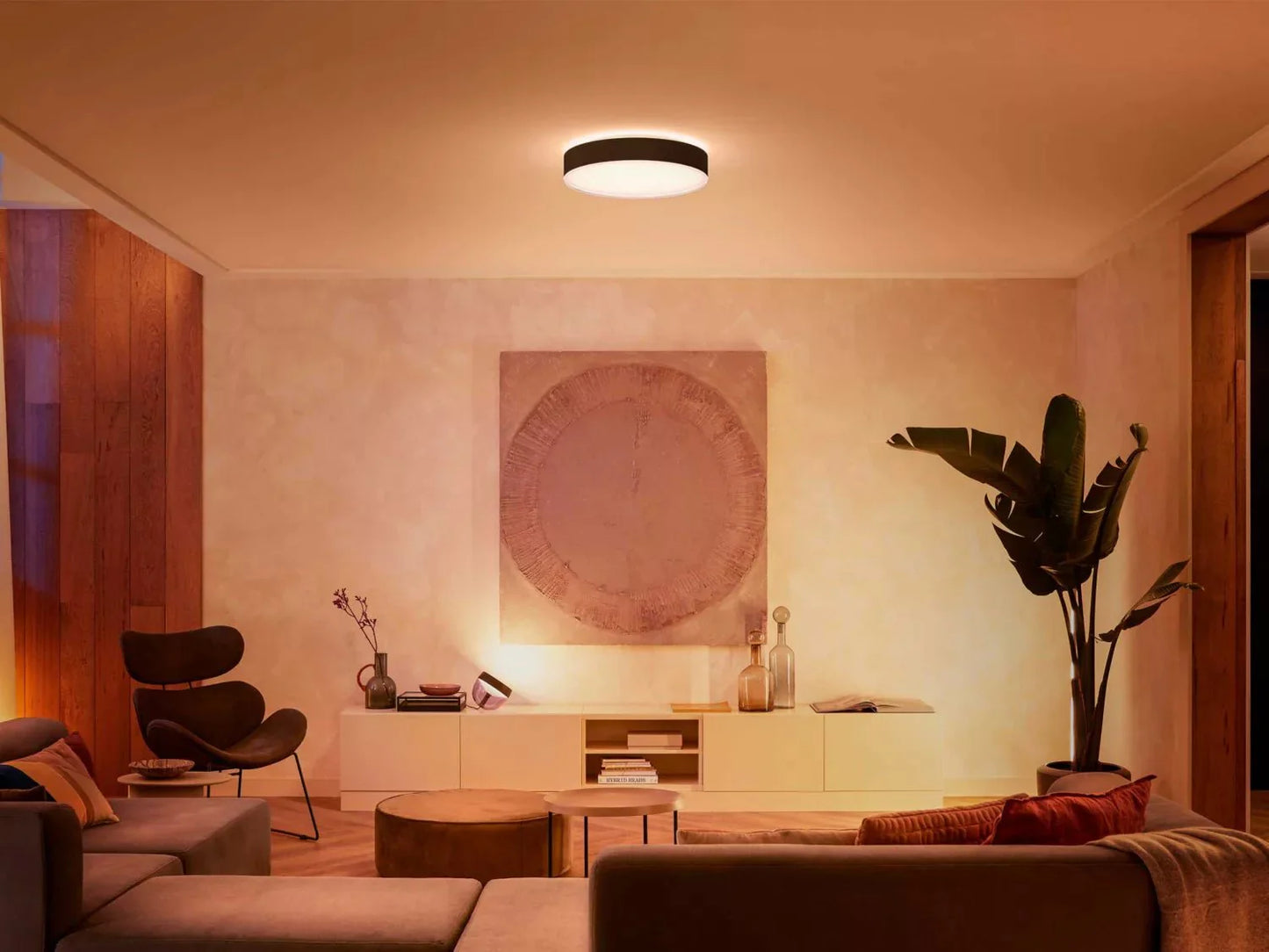 Philips Hue Enrave L Ceiling Lamp Black - Ceiling Light - Philips Hue - Zenox