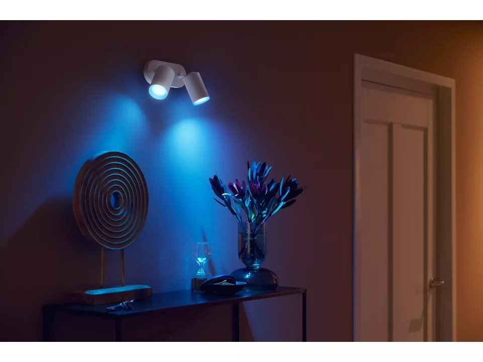 Philips Hue Fugato Plate/Spiral White 2X5.7W 240V - Ceiling Light - Philips Hue - Zenox