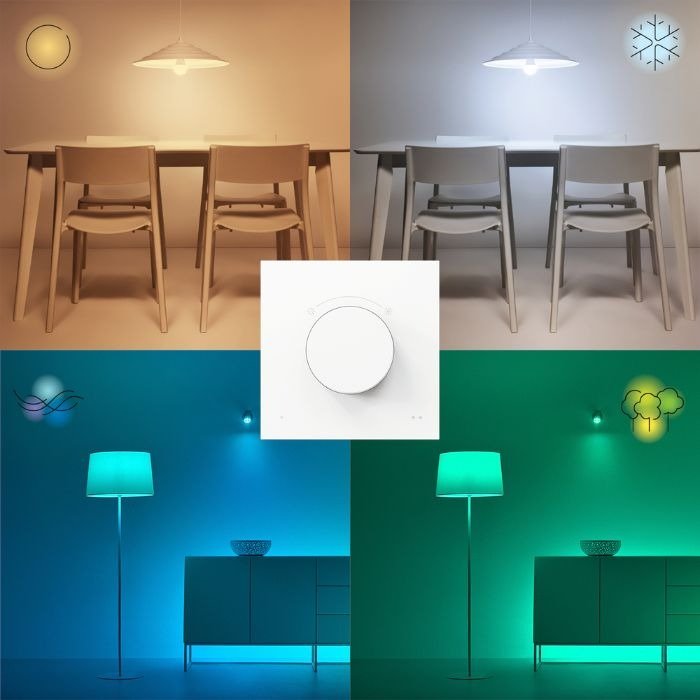 WiZ Dial Switch - Smart Light Accessory - WiZ - Zenox