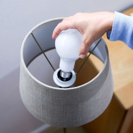 WiZ Tunable White Globe 11W G95 E27 Smart LED Bulb - Smart Bulb - WiZ - Zenox