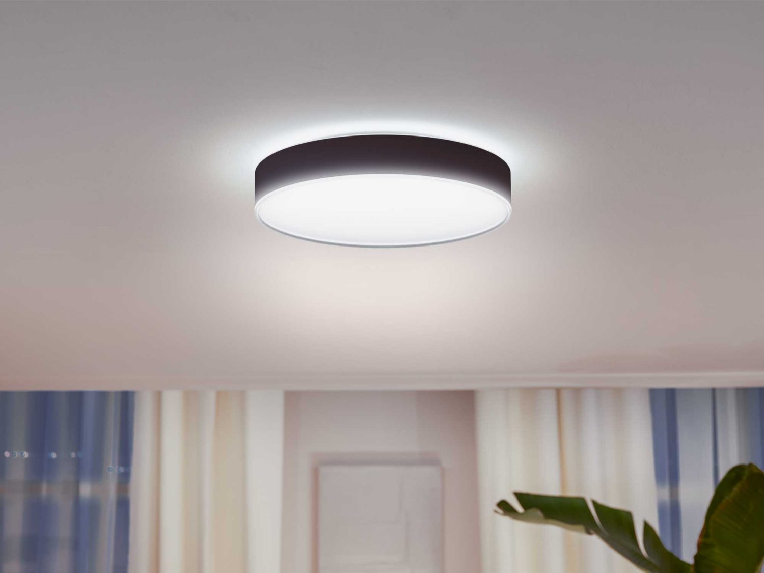 Philips Hue Enrave L Ceiling Lamp Black - Ceiling Light - Philips Hue - Zenox